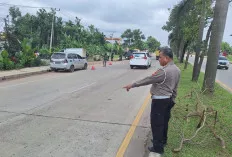 Mobil Pick Up Tabrak Pohon, 2 Ribu Liter BBM Jenis Pertalite Tumpah ke Badan Jalan