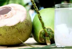 Manfaat Air Kelapa saat Berbuka Puasa di Bulan Ramadhan 