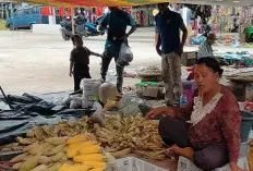 Tahun Baru 2024, Wow Harga Jagung Alami Kenaikan 