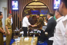 Ombudsman RI Nilai Sumsel Responsif, Herman Deru Dorong Akuntabilitas Layanan Publik