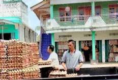 Ternyata Ini yang Membuat Harga Telur Alami Kenaikan di Sanga Desa 
