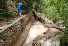 Siring Irigasi Rp7,1 Miliar di Tanjung Bulan Ambruk, 63 Hektar Sawah Terancam Gagal Tanam