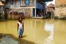 Luapan Sungai Lematang Membuat Kelurahan Payuputat Direndam Air 