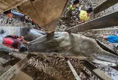 Paus Biru Sepanjang 13 Meter Terdampar di Banyuasin, Polda Sumsel Bersama Tim Gabungan Lakukan Evakuasi