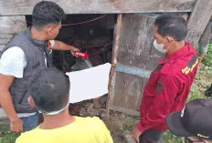  Lansia di Muara Enim Ditemukan Meninggal Dalam Gubuk, Warga Curiga Korban Tak Terlihat Tiga Hari