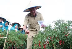 Begini Cara PJ Walikota Palembang Ratu Dewa Upaya Mendukung Pengendalian Inflasi 