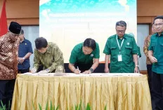 Catatkan Rekor Penurunan Pengangguran Tertinggi di Sumsel