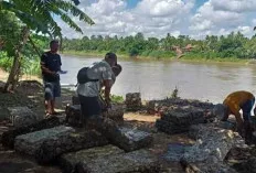 Musim Hujan, Harga Karet di Pengepul Masih Belum Stabil 