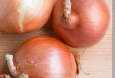 Jangan Remehkan! Bawang Bombay Ternyata Punya Segudang Khasiat Ajaib