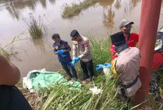 Mayat Pria Ditemukan Mengapung di Sawah Sungai Pinang Banyuasin