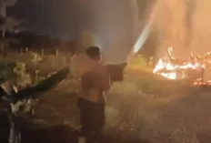 BPBD Muba Berhasil Padamkan Karhutla Dekat Permukiman Warga di Sekayu