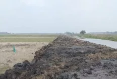Aliran Sungai di Kabupaten Ogan Ilir Dilakukan Penimbunan