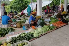 Jelang Akhir Tahun 2023, Harga Sayur Mayur Terpantau Masih Normal, Segini Harganya