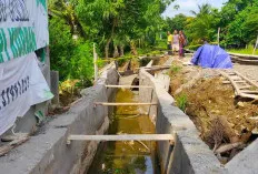 Aduh? Dinding Proyek Drainase Runtuh, Timpa Pekerja, 1 Orang Tidak Bisa Diselamatkan 