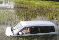 Astaga! Pengendara APV Nyemplung ke Sawah Usai Tabrak Pengendara Sepeda, Gimana Nasib Korban? 
