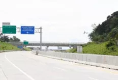 Menembus Rawa dan Hutan: Empat Tol Raksasa Sumsel Siap Jadi Simpul Ekonomi Baru di Sumatra