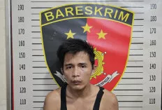 Kado Hari Kemerdekaan RI ke-80, Polsek Sanga Desa Ringkus DPO Curanmor Bersenpi