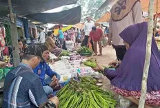 Petani Petai Ketimban Rezeki di Saat Minggu Terakhir Ramadhan 1445 H, Laris Manis Dibeli Warga 
