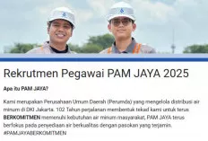 Jangan Lupa Buruan Daftar, Ada Lowongan Kerja di BUMD PAM Jaya dan APP Purinusa
