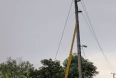 Cuaca Ekstrem Landa OKU, PLN Baturaja Siaga Penuh Perbaiki Jaringan Listrik Terdampak