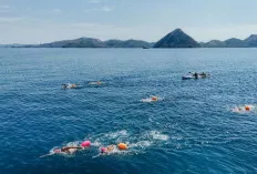 Festival Limbang Tacik Ta'a 2025 di Labuan Bajo Jadi Magnet Atlet Dunia