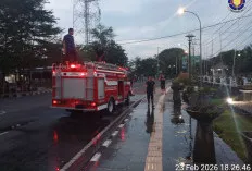  Kebakaran Taman Depan Kantor Pemkab Muba, Damkar Gerak Cepat Padamkan Api