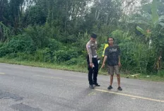 Hindari Lubang Jalan, Pengendara Scoopy Tewas Ditabrak Truk di Gunung Megang