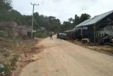 Akses Jalan Menuju Macang Sakti Muba Gelap Gulita, Warga Berharap Adanya Penerangan 