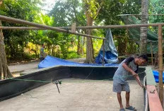 Polsek Tanjung Raja Tutup Gelanggang Sabung Ayam yang Resahkan Warga