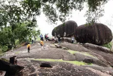 Berburu Senja dan Tarsius Menggemaskan di Bukit Peramun, Surga Ekowisata Tersembunyi di Belitung