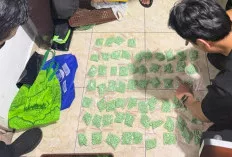 Polda Sumsel Bongkar Jaringan Narkoba Lintas Provinsi, Sita 11.443 Ekstasi dan 1,4 Kg Sabu