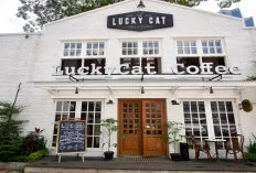 Lucky Cat Coffee & Kitchen: Tempat Nongkrong 24 Jam dengan Interior Putih yang Estetik di Kuningan