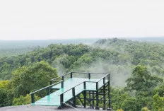 Geosite Bukit Peramun, Hutan Digital di Belitung yang Memadukan Teknologi, Edukasi, dan Keindahan Alam