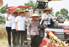 Sumsel Memantapkan Peran Lumbung Pangan Nasional Lewat Panen Raya Jagung Serentak