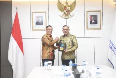 Temui Wamen Investasi dan Hilirisasi RI, Wagub Sumsel Cik Ujang Optimis Tanjung Carat Groundbreaking 