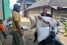Kenaikan Harga Kopi Cukup Fantastis, Tetapi Para Petani Merasa Resah 