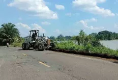 Pandangan Pengendara Terlihat Luas, Ini Setelah Rumput Ilalang Jalinteng Ditebas 