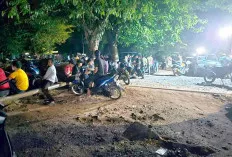 Diduga Jarah Sawit, 5 Warga Ditangkap 