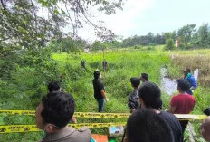 Warga Ngulak Geger, Mayat Terbungkus Karung Ditemukan di Sawah