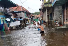Sembilan Hari Terendam Banjir, Warga Lubuk Pandan Diduga Belum Dapat Bantuan  
