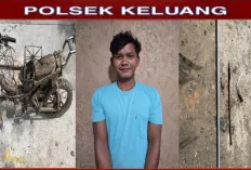 Curi Sawit di Lahan PT Hindoli, Samsul Bahri Terancam 7 Tahun Penjara