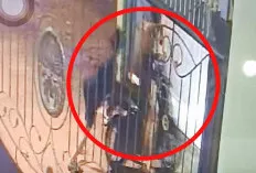 Aksi Curanmor Terekam CCTV, Motor Warga Digondol dari Dalam Pagar Rumah
