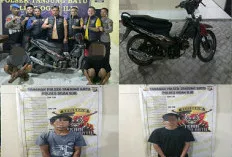 Pencuri Sapi Milik Kades di Ogan Ilir Ditangkap, Hewan Diracun dan Dimutilasi