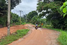 Buat Jalan Baru, Antisipasi Jalan Longsor di Desa Karang Ringin