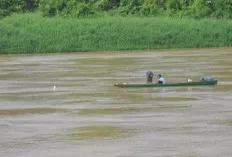 Incar Ikan Ukuran Besar