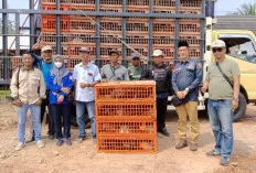 Serahkan Bantuan Ayam Kampung