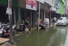 Protes Jalan Tergenang, Warga 16 Ilir Tabur Benih Lele, Wali Kota Palembang Turun Tangan
