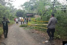  Jalan Penghubung Dua Desa di OKU Nyaris Putus Akibat Longsor