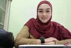 Semula Jumlah Formasi PPPK 2024 hanya 505, Kini Berubah Berjumlah 1.790, Peluang untuk Honorer Terbuka Luas 