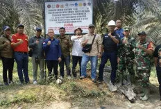 Pemerintah Tertibkan Kawasan Hutan di Muba, Plang Penertiban Dipasang di Lahan Suaka Margasatwa dan HTI